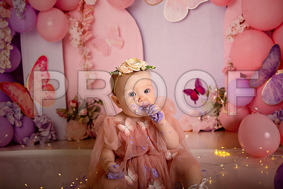 Kansas City Cake Smash Photographer | Butterfly Theme Portraits | Heather Sears Photography
