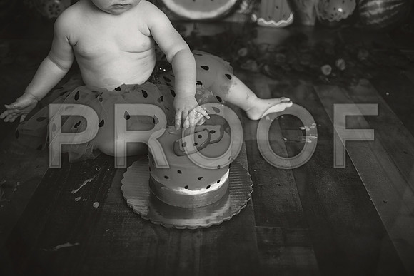 Kansas City Watermelon Cake Smash Photographer | First Birthday Portraits