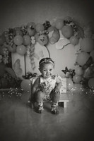 Kansas City Cake Smash Photographer | Butterfly Theme Portraits | Heather Sears Photography