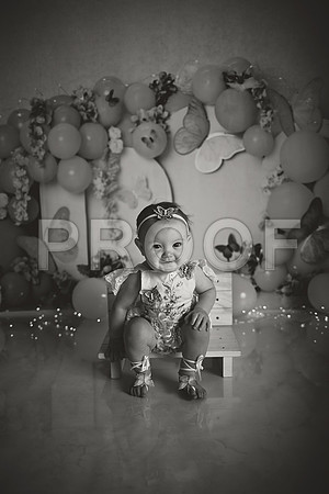 Kansas City Cake Smash Photographer | Butterfly Theme Portraits | Heather Sears Photography