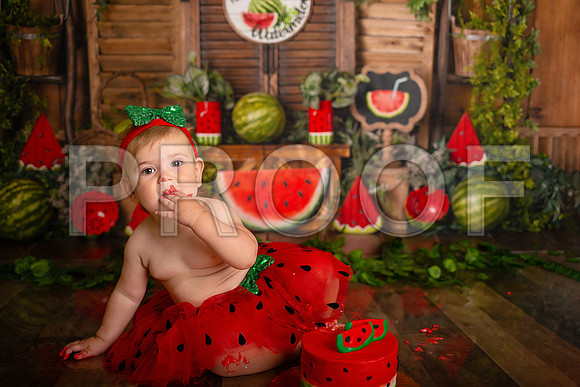 Kansas City Watermelon Cake Smash Photographer | First Birthday Portraits