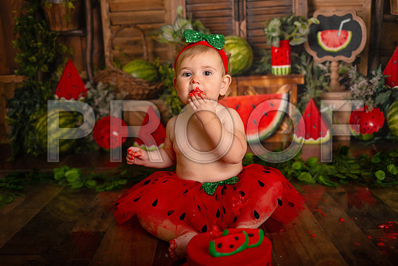 Kansas City Watermelon Cake Smash Photographer | First Birthday Portraits