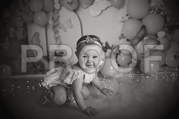 Kansas City Cake Smash Photographer | Butterfly Theme Portraits | Heather Sears Photography