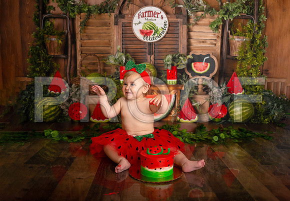Kansas City Watermelon Cake Smash Photographer | First Birthday Portraits