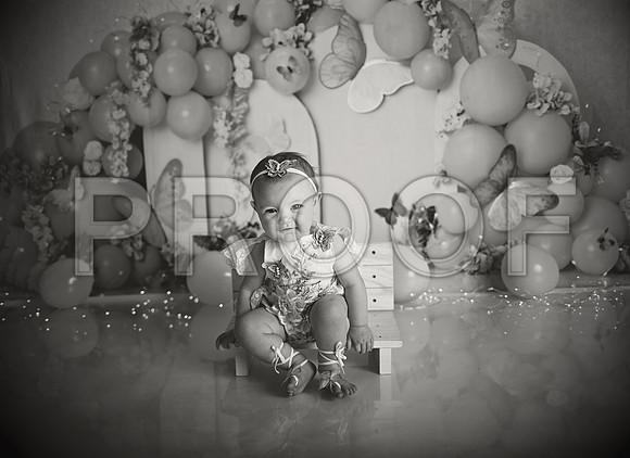 Kansas City Cake Smash Photographer | Butterfly Theme Portraits | Heather Sears Photography