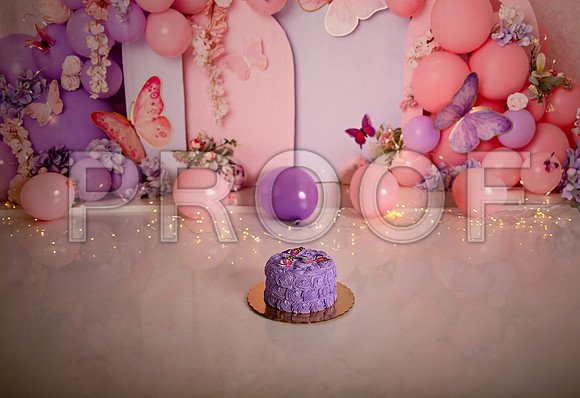 Kansas City Cake Smash Photographer | Butterfly Theme Portraits | Heather Sears Photography