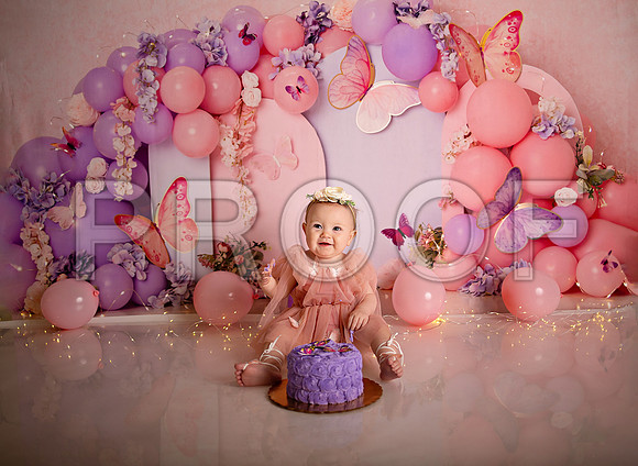 Kansas City Cake Smash Photographer | Butterfly Theme Portraits | Heather Sears Photography