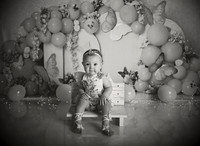 Kansas City Cake Smash Photographer | Butterfly Theme Portraits | Heather Sears Photography