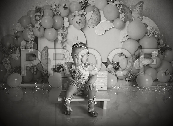 Kansas City Cake Smash Photographer | Butterfly Theme Portraits | Heather Sears Photography