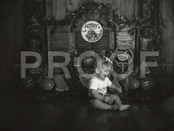 Kansas City Watermelon Cake Smash Photographer | First Birthday Portraits