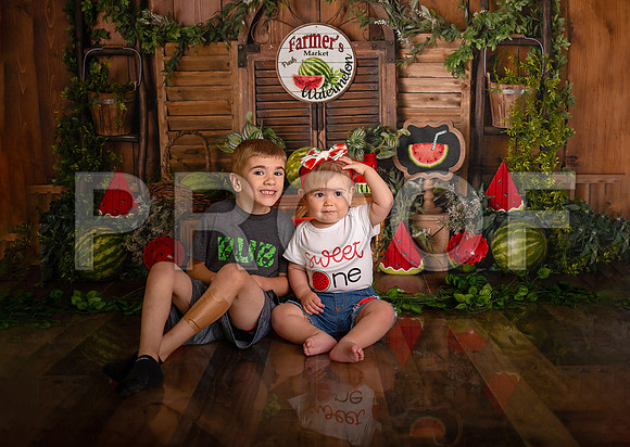 Kansas City Watermelon Cake Smash Photographer | First Birthday Portraits