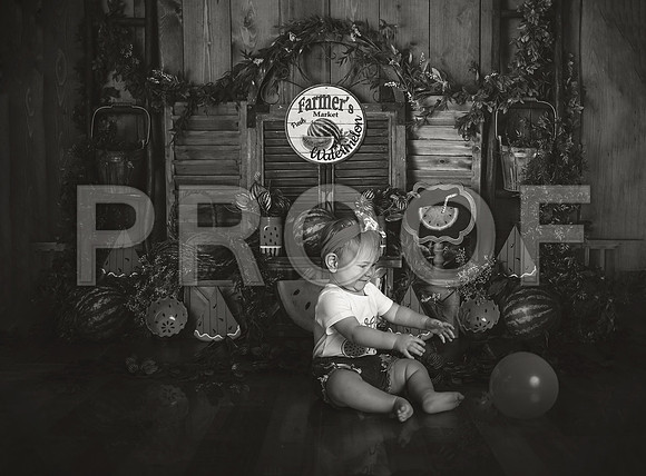 Kansas City Watermelon Cake Smash Photographer | First Birthday Portraits