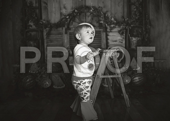 Kansas City Watermelon Cake Smash Photographer | First Birthday Portraits