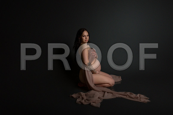 Fine Art Kansas City Maternity Photography | Luxury Pregnancy Portraits