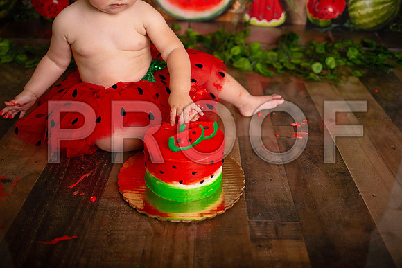 Kansas City Watermelon Cake Smash Photographer | First Birthday Portraits