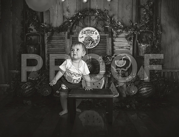 Kansas City Watermelon Cake Smash Photographer | First Birthday Portraits