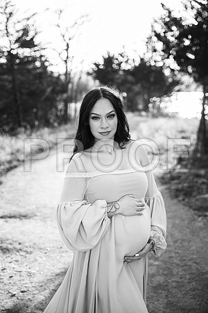 Fine Art Kansas City Maternity Photography | Luxury Pregnancy Portraits