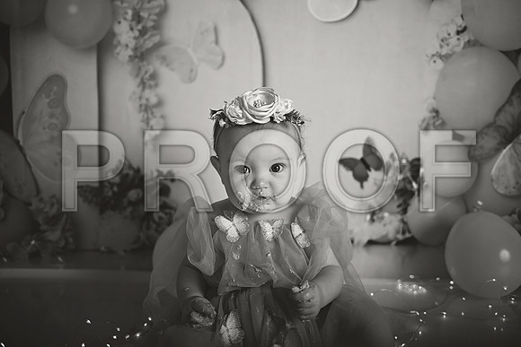 Kansas City Cake Smash Photographer | Butterfly Theme Portraits | Heather Sears Photography