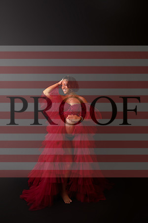 Kansas City Fine Art Studio Maternity Photography | Paola & Osawatomie Studio