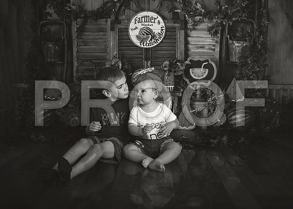 Kansas City Watermelon Cake Smash Photographer | First Birthday Portraits
