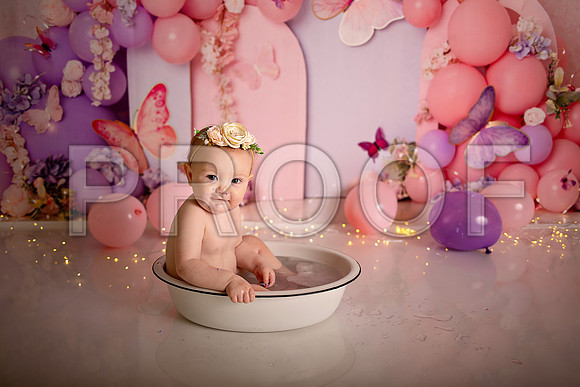 Kansas City Cake Smash Photographer | Butterfly Theme Portraits | Heather Sears Photography