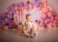 Kansas City Cake Smash Photographer | Butterfly Theme Portraits | Heather Sears Photography