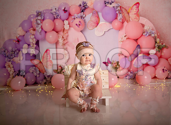 Kansas City Cake Smash Photographer | Butterfly Theme Portraits | Heather Sears Photography