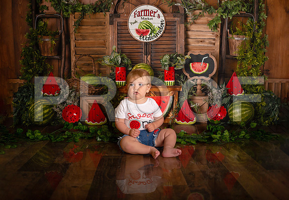Kansas City Watermelon Cake Smash Photographer | First Birthday Portraits