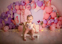 Kansas City Cake Smash Photographer | Butterfly Theme Portraits | Heather Sears Photography