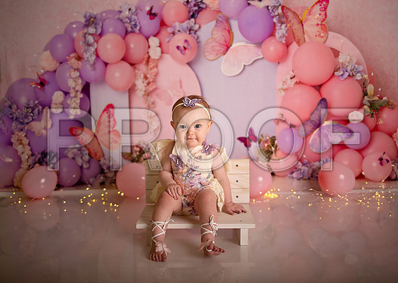 Kansas City Cake Smash Photographer | Butterfly Theme Portraits | Heather Sears Photography