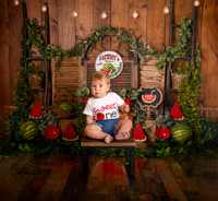 Kansas City Watermelon Cake Smash Photographer | First Birthday Portraits