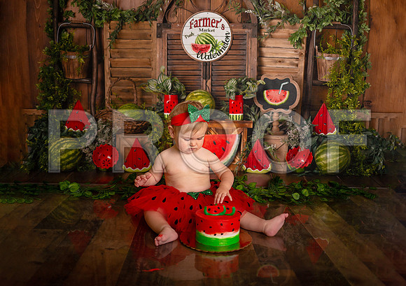 Kansas City Watermelon Cake Smash Photographer | First Birthday Portraits