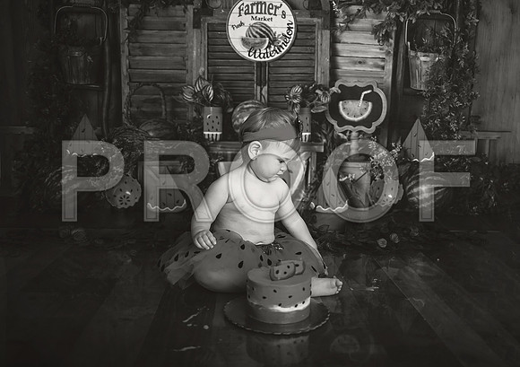 Kansas City Watermelon Cake Smash Photographer | First Birthday Portraits