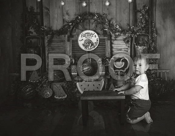 Kansas City Watermelon Cake Smash Photographer | First Birthday Portraits