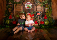 Kansas City Watermelon Cake Smash Photographer | First Birthday Portraits