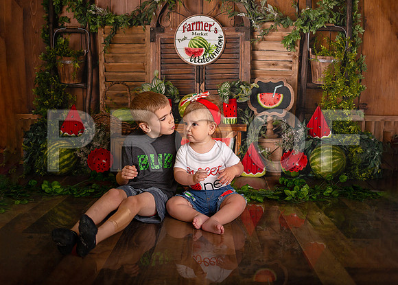 Kansas City Watermelon Cake Smash Photographer | First Birthday Portraits