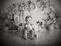Kansas City Cake Smash Photographer | Butterfly Theme Portraits | Heather Sears Photography