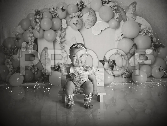Kansas City Cake Smash Photographer | Butterfly Theme Portraits | Heather Sears Photography