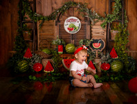 Kansas City Watermelon Cake Smash Photographer | First Birthday Portraits