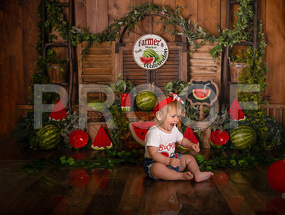 Kansas City Watermelon Cake Smash Photographer | First Birthday Portraits