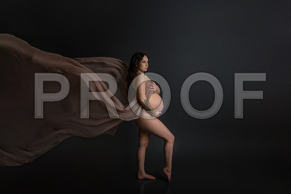 Fine Art Kansas City Maternity Photography | Luxury Pregnancy Portraits