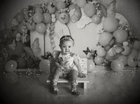 Kansas City Cake Smash Photographer | Butterfly Theme Portraits | Heather Sears Photography