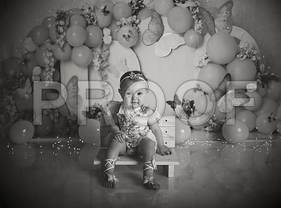 Kansas City Cake Smash Photographer | Butterfly Theme Portraits | Heather Sears Photography
