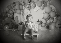Kansas City Cake Smash Photographer | Butterfly Theme Portraits | Heather Sears Photography