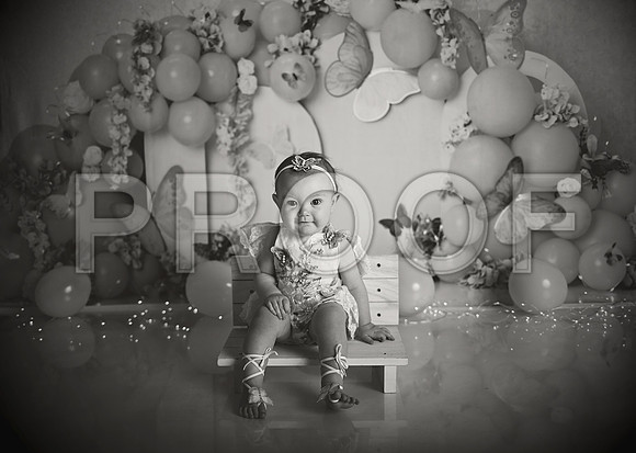 Kansas City Cake Smash Photographer | Butterfly Theme Portraits | Heather Sears Photography