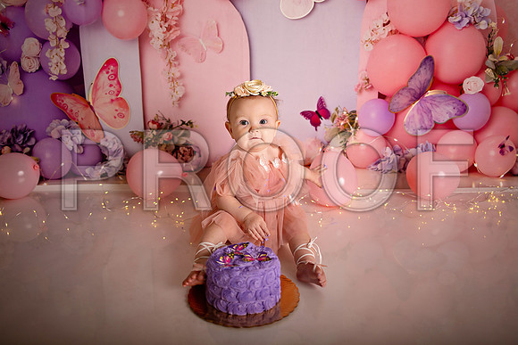 Kansas City Cake Smash Photographer | Butterfly Theme Portraits | Heather Sears Photography