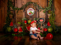 Kansas City Watermelon Cake Smash Photographer | First Birthday Portraits