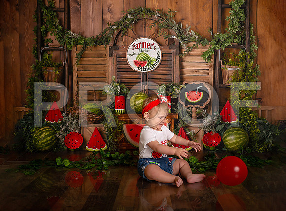 Kansas City Watermelon Cake Smash Photographer | First Birthday Portraits