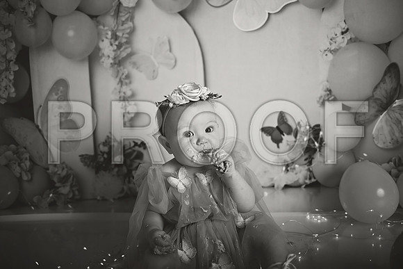 Kansas City Cake Smash Photographer | Butterfly Theme Portraits | Heather Sears Photography