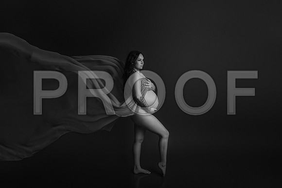 Fine Art Kansas City Maternity Photography | Luxury Pregnancy Portraits